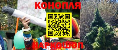 соль курить ск Кингисепп
