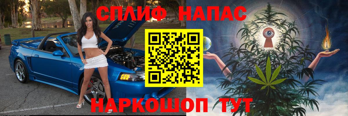 Конопля сатива Ухта